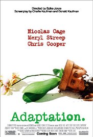 Adaptation orchids## Adaptation.