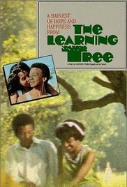 Learning Tree, The